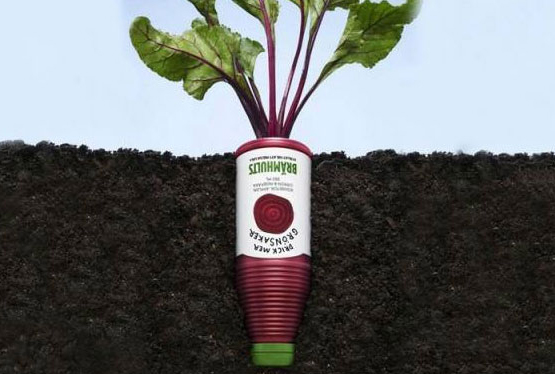 食品飲料工業(yè)飛速發(fā)展成為自動化包裝機(jī)械行業(yè)新的機(jī)遇